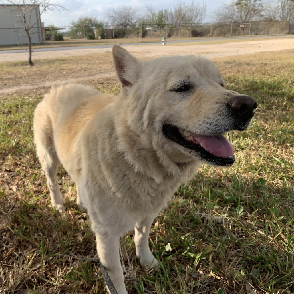 Megara — thumbnail 5