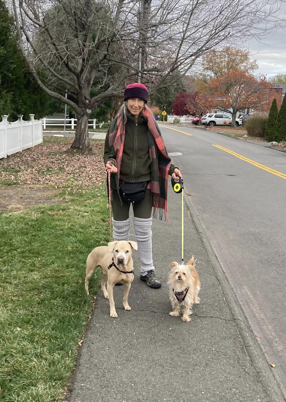 Ocean, a Adoptable mixed breed in Harrison, NY image 5/6