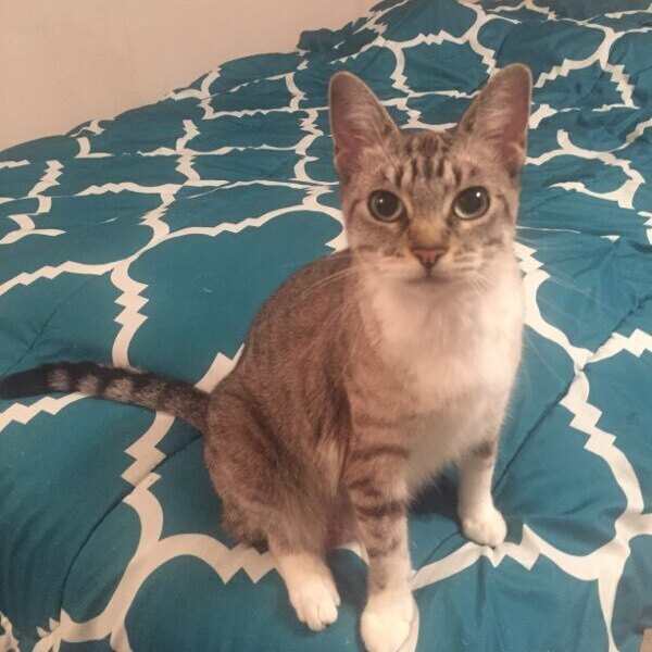 Rigel, Young Female unknown