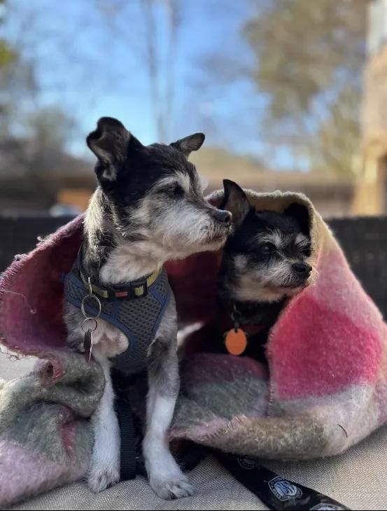 Rylie — thumbnail 3