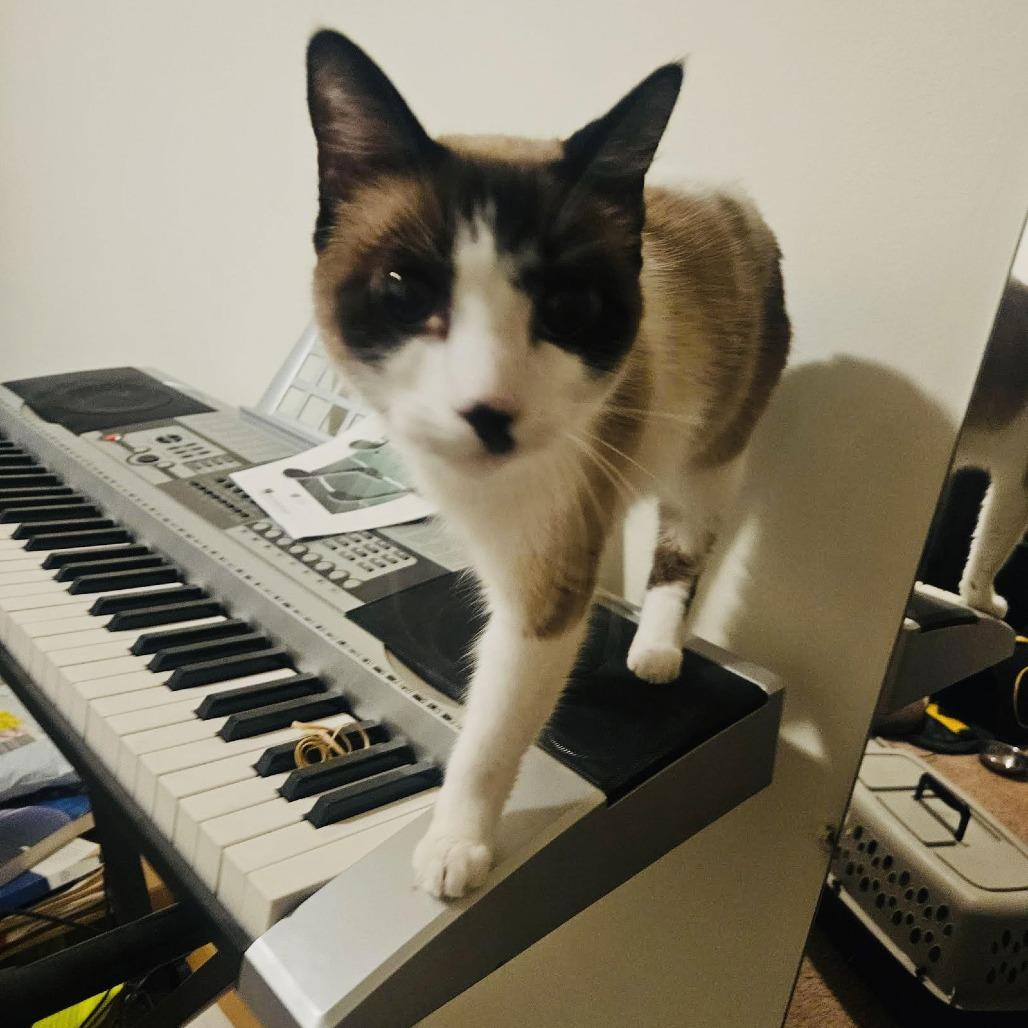 Kit C6893 — thumbnail 6