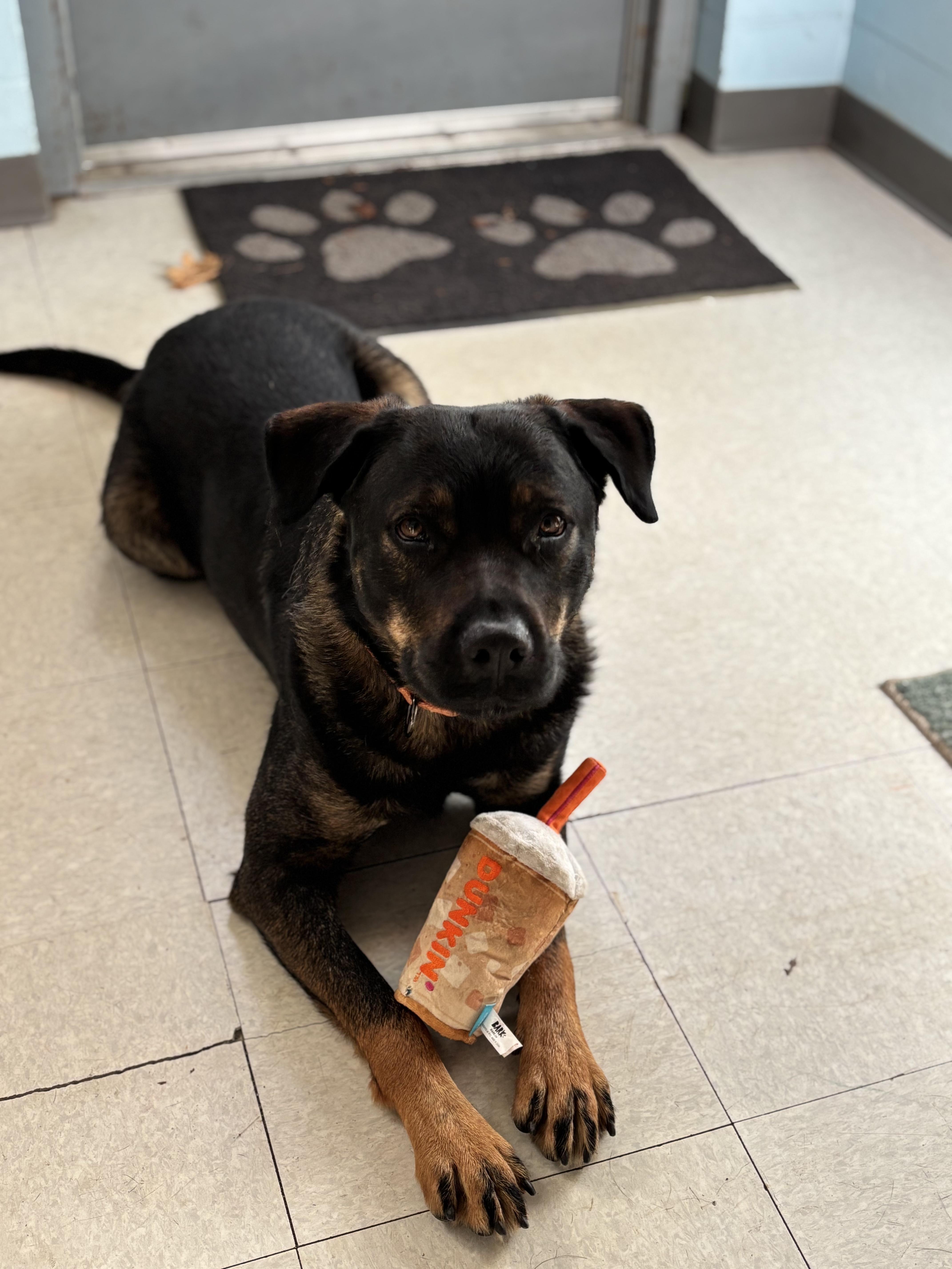 Roxy photo 4