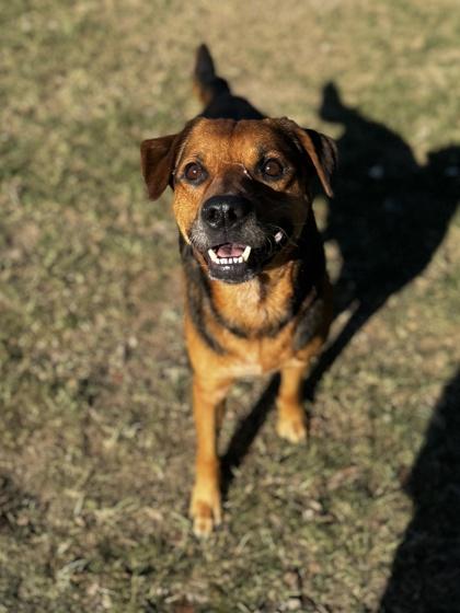 Carmichael Santiago — thumbnail 2