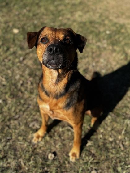 Carmichael Santiago — thumbnail 3