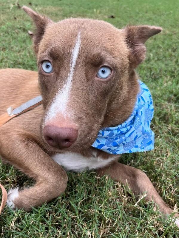 Megan Fox — thumbnail 3