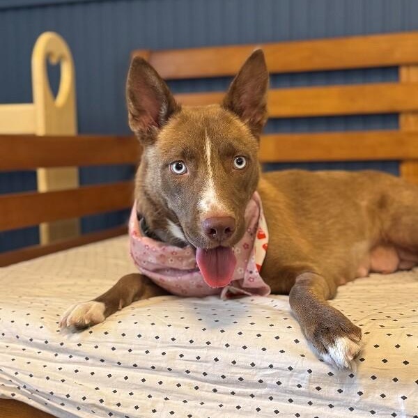 Megan Fox — thumbnail 4