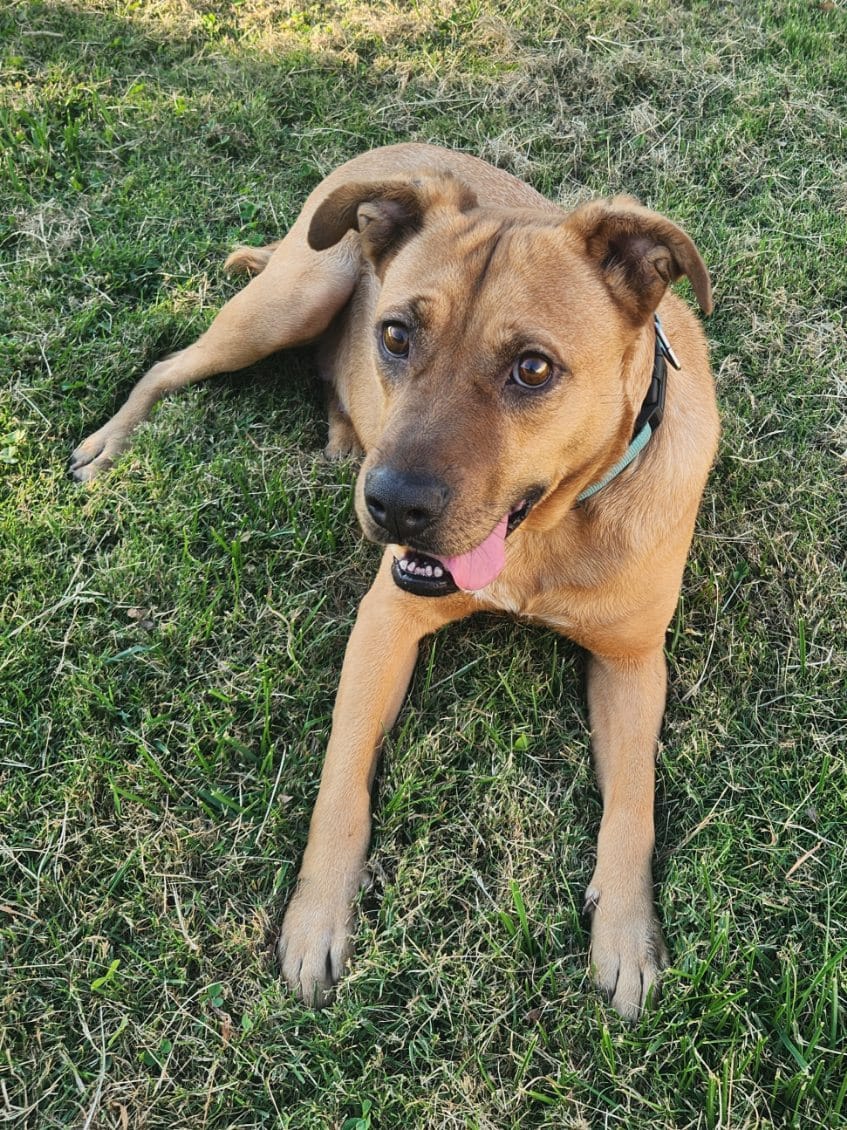 Heidi photo 4