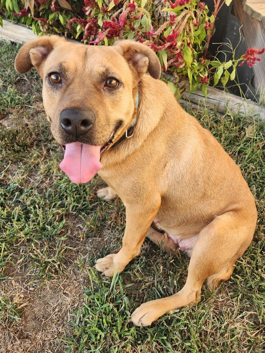 Heidi photo 3