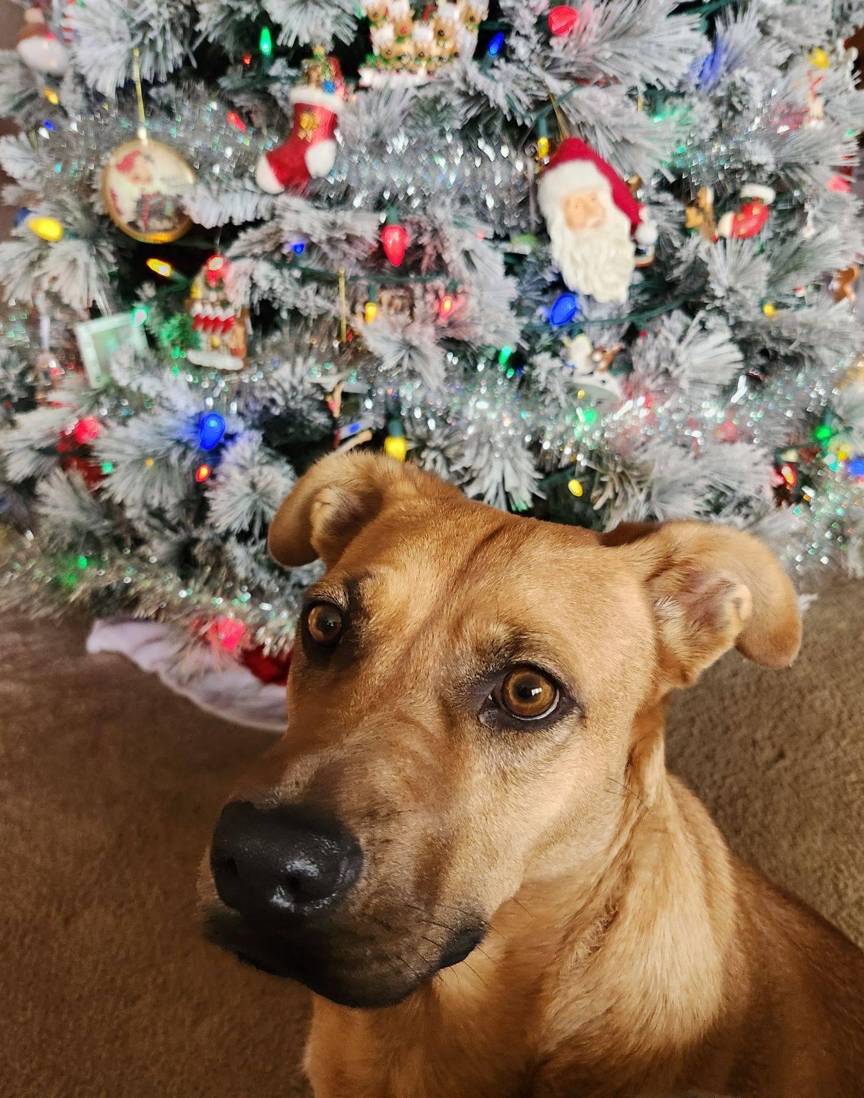 Heidi photo 2