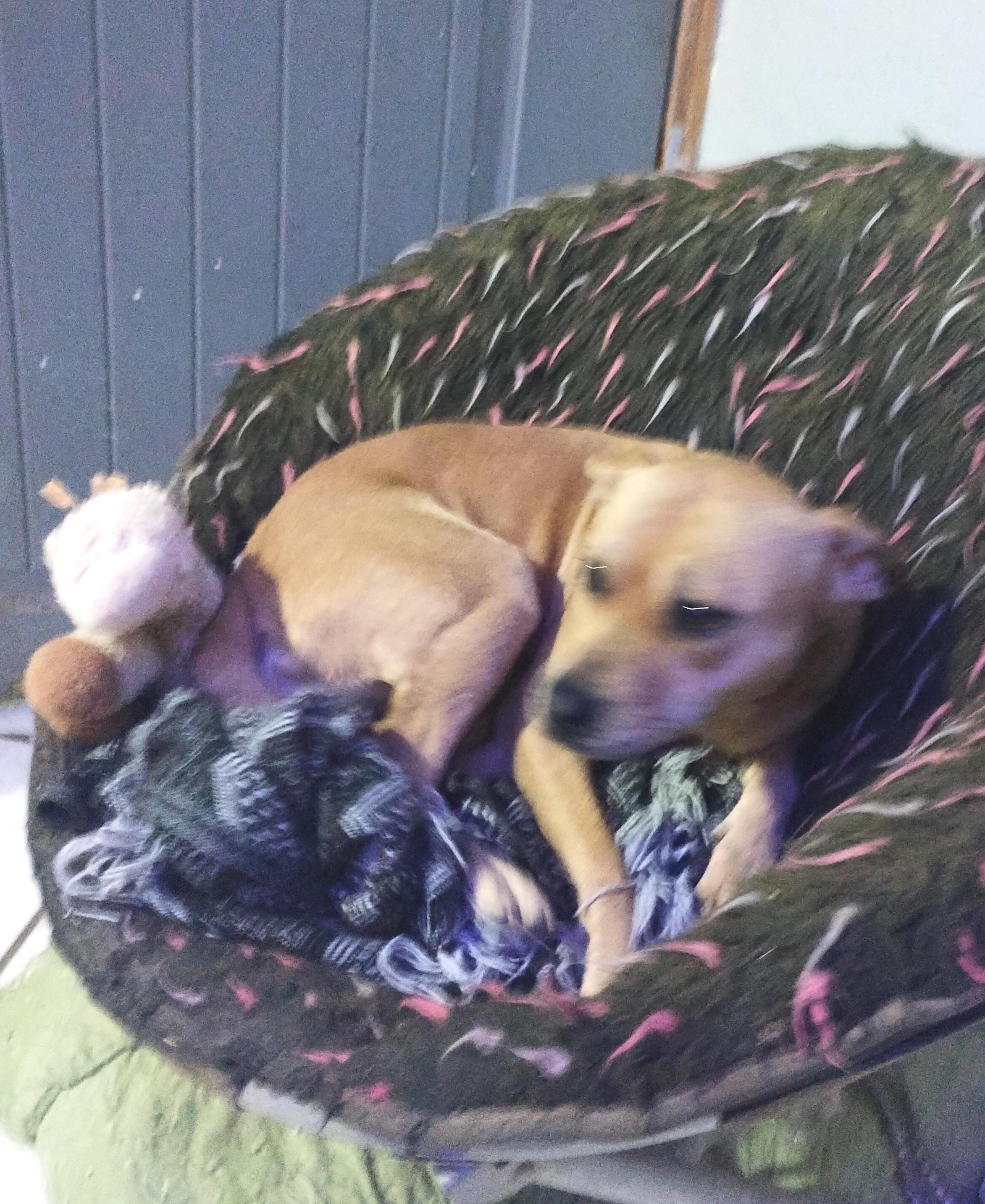 Cloe (4) — thumbnail 3