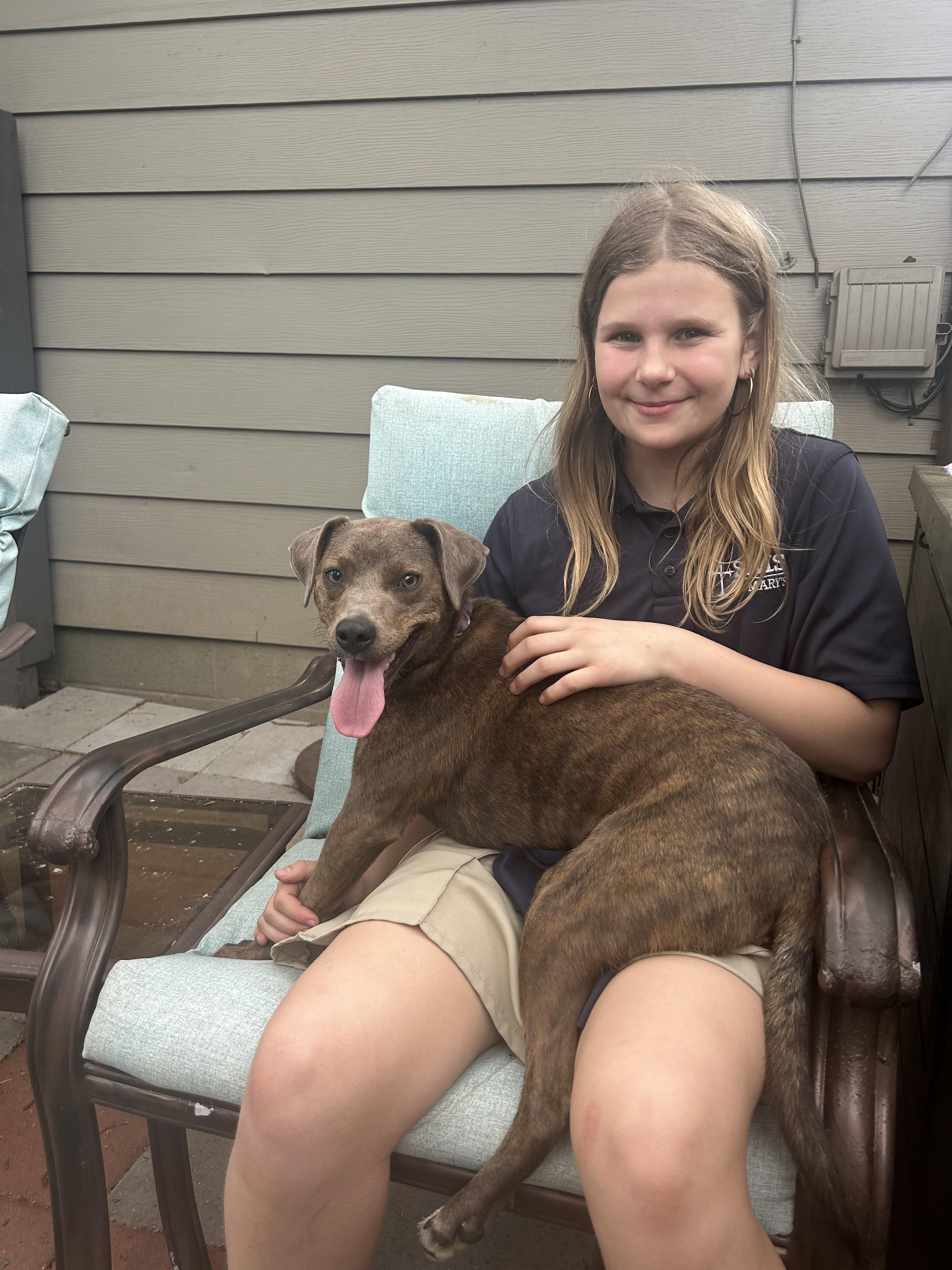 Peggy Sue, an adopted mixed breed in Jackson, TN image 5/6