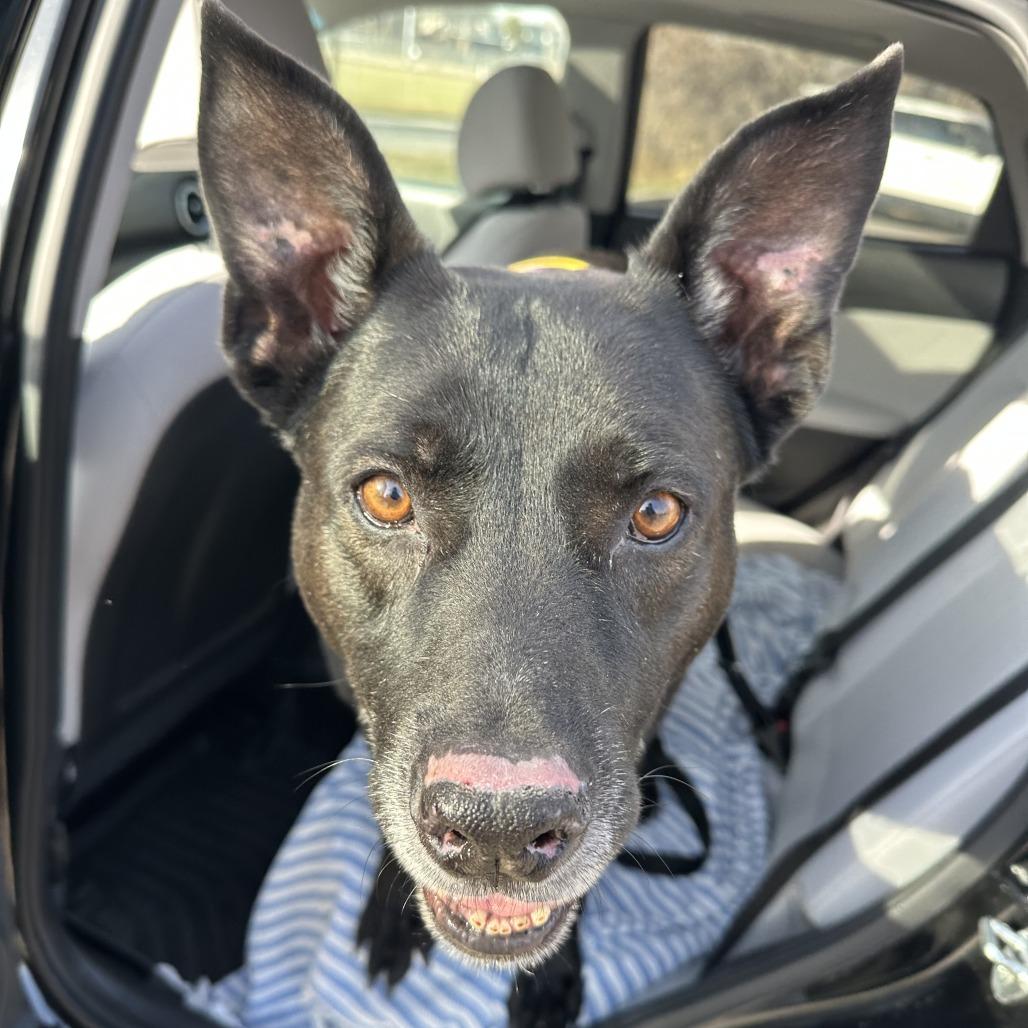 Zeus — thumbnail 3