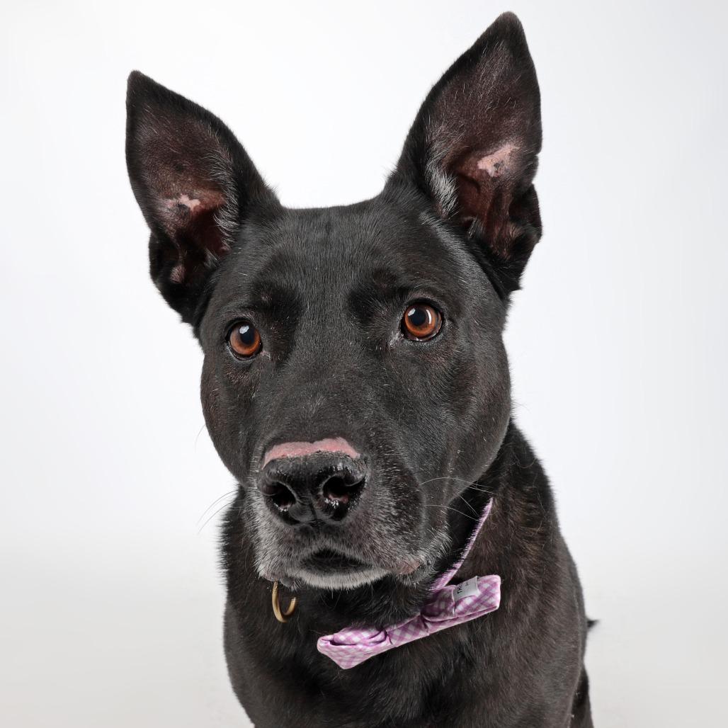 Zeus — thumbnail 6