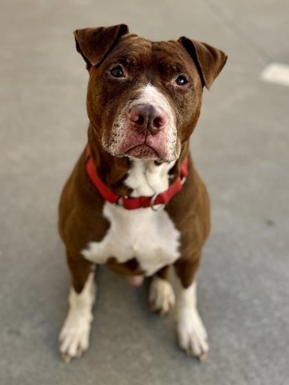 Horton — thumbnail 2