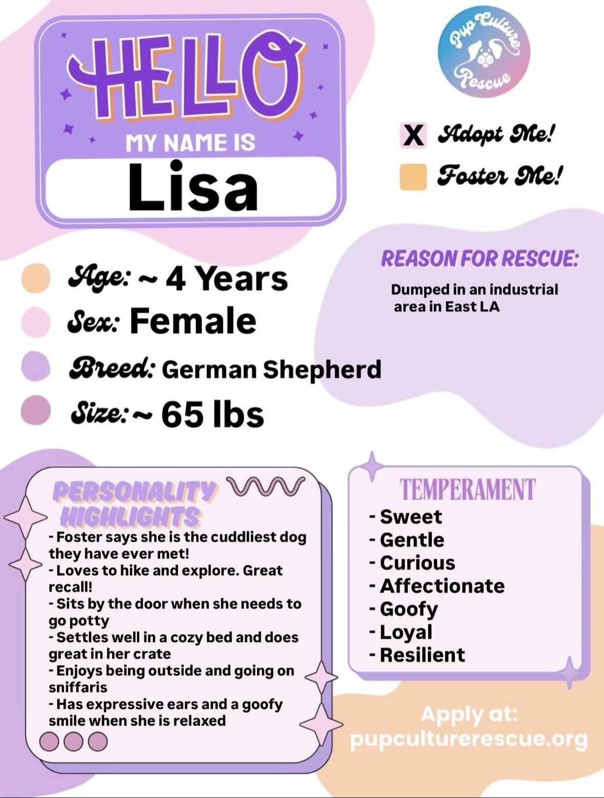 Lisa, a Adoptable German Shepherd Dog in Pasadena, CA image 2/6