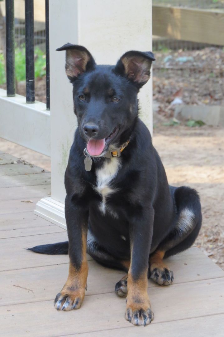 Todd photo 3