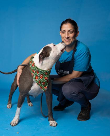 Enlarge XANDER, a Adoptable mixed breed in Atlanta, GA image 3/3