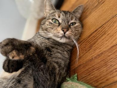 Mila — thumbnail 3