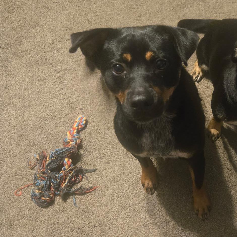 Rusty Mc thumbnail 3