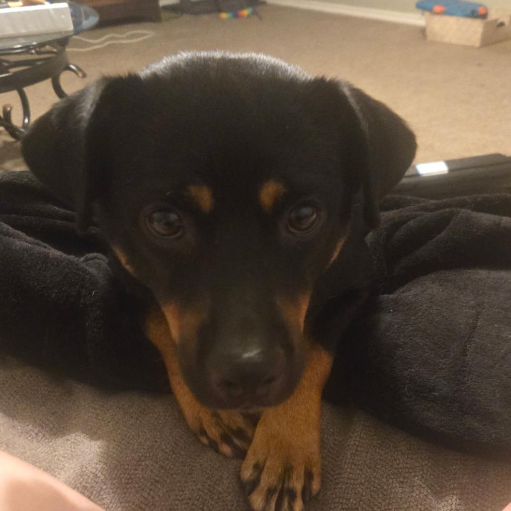 Rusty Mc thumbnail 4