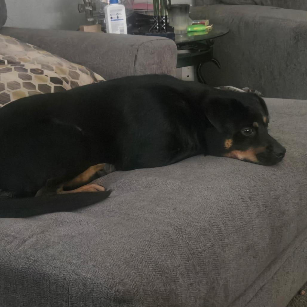 Rusty Mc thumbnail 7