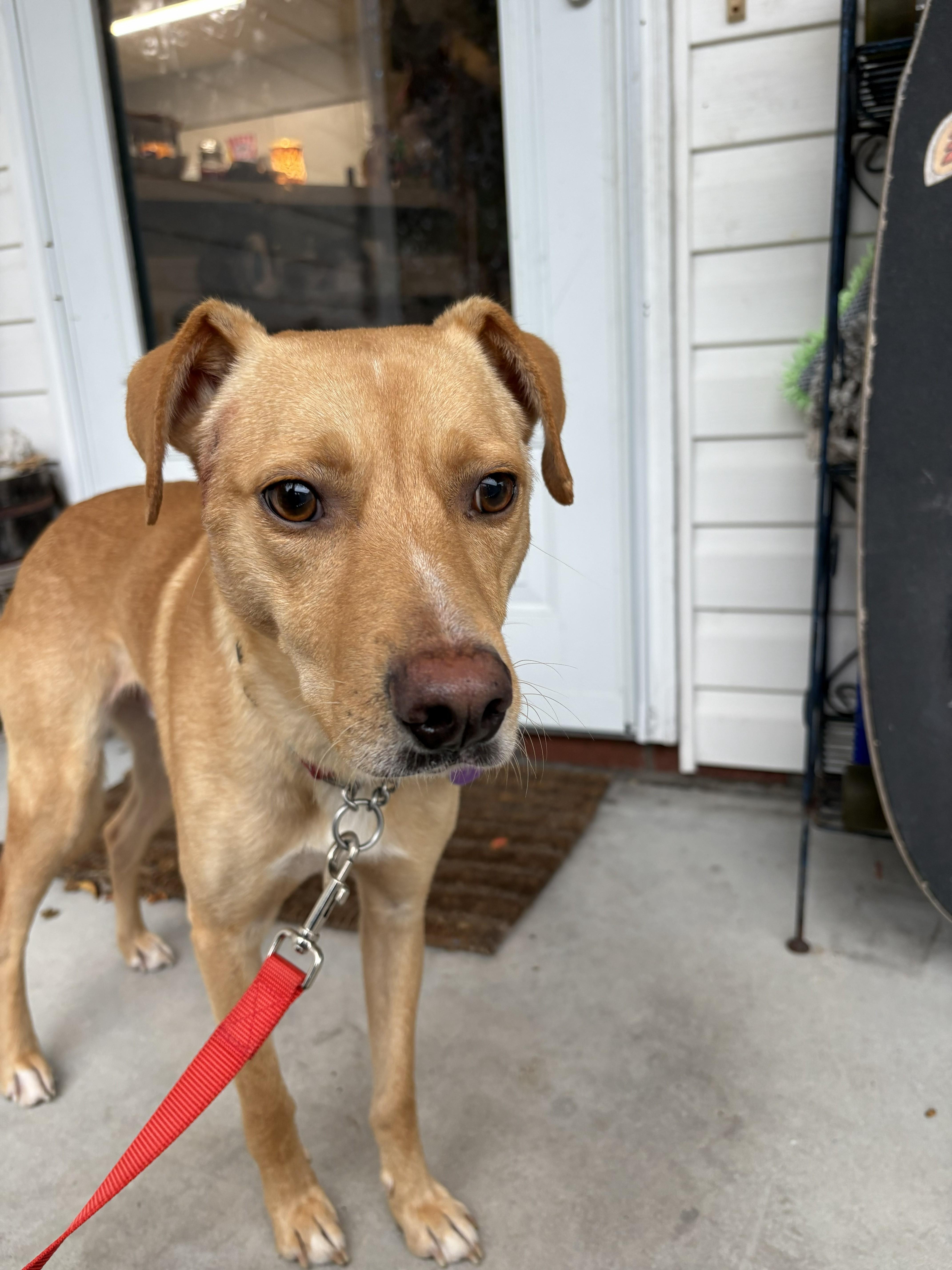 Dr. Watson thumbnail 2