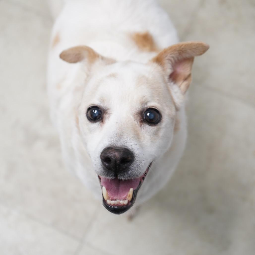 Spice — thumbnail 2