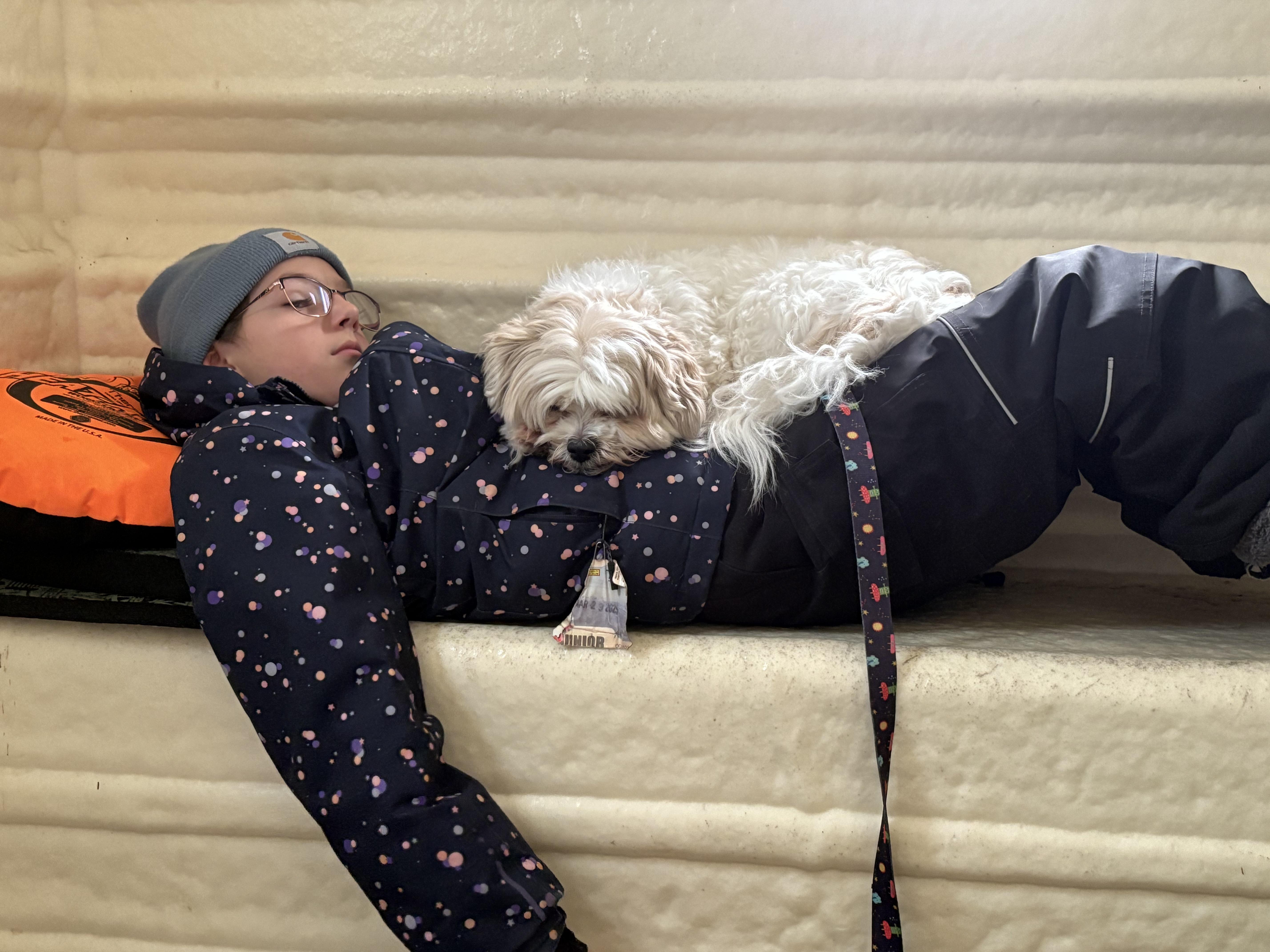 Enlarge Archie, an adopted mixed breed in Saskatoon, SK image 4/6