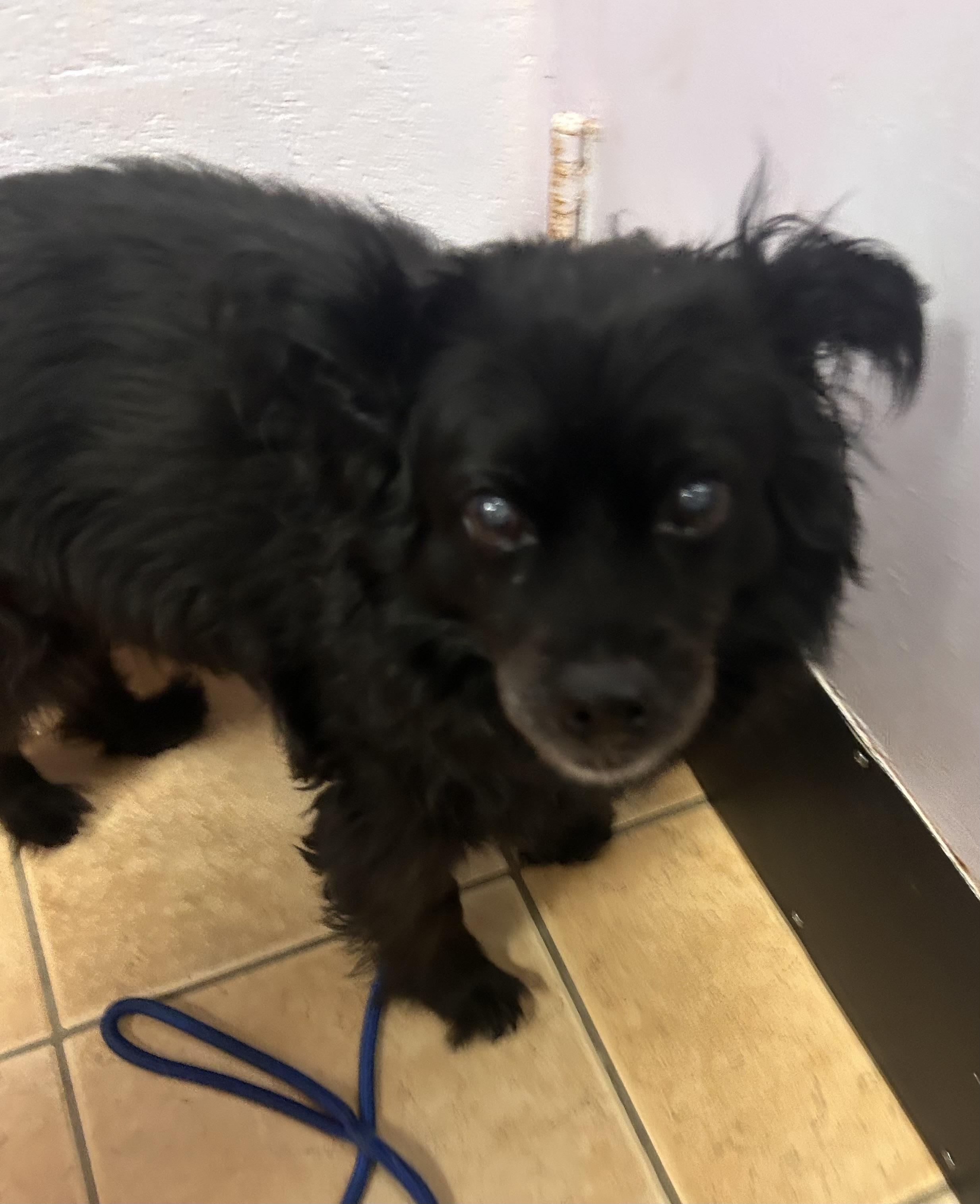 Stella-HOMELESS AT 15