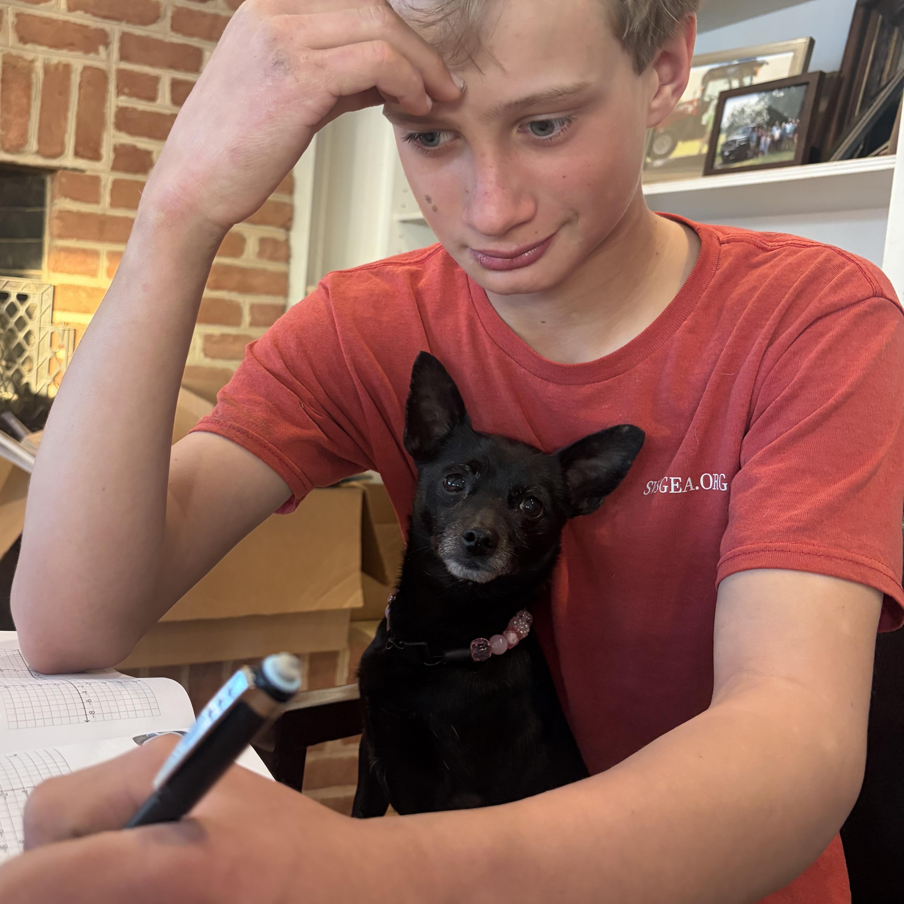 Enlarge Onyx , an adopted mixed breed in Warrenton, VA image 6/6