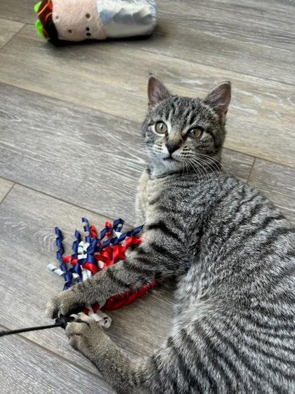 Evangeline — thumbnail 2