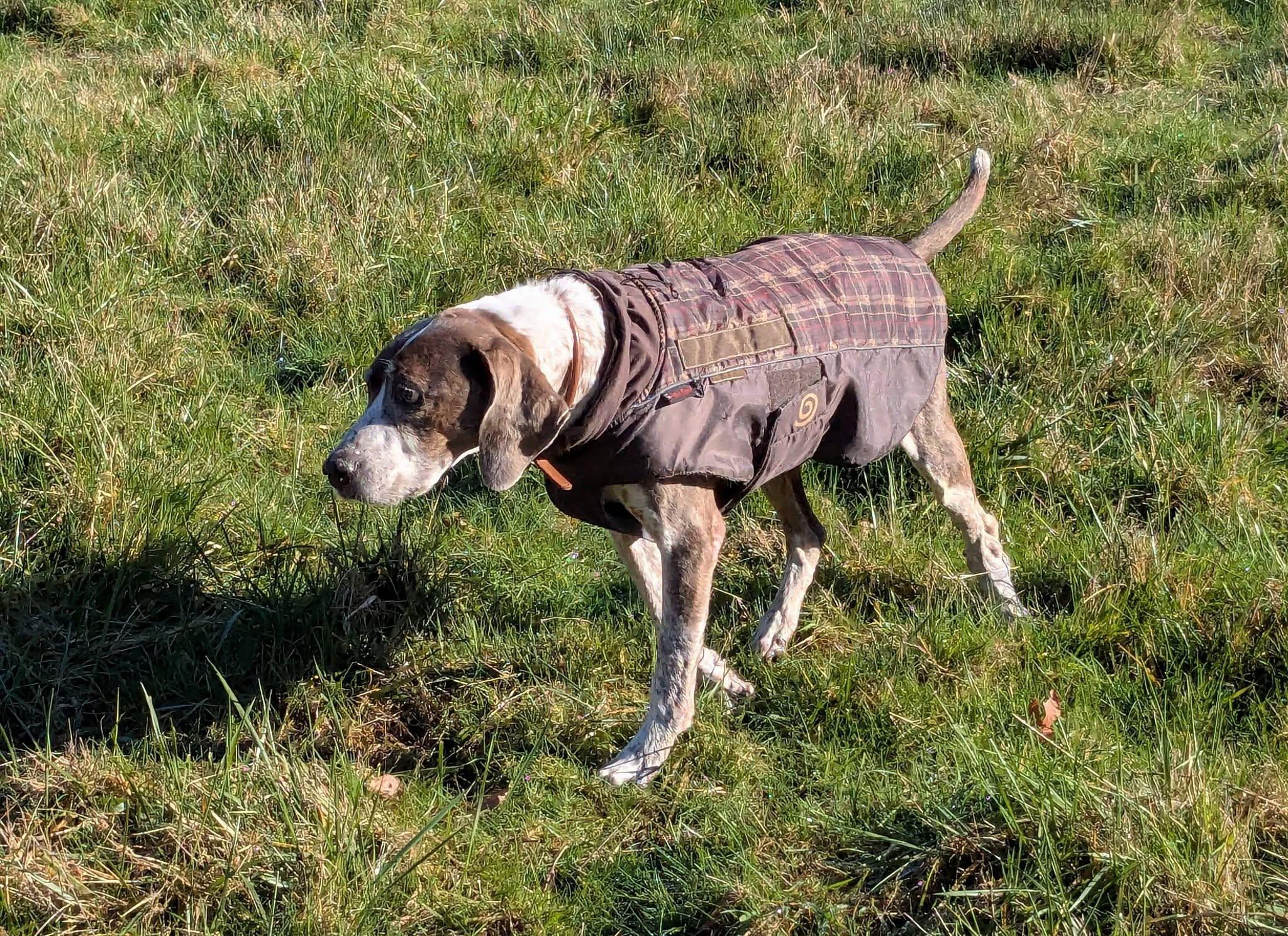 Kink — thumbnail 4