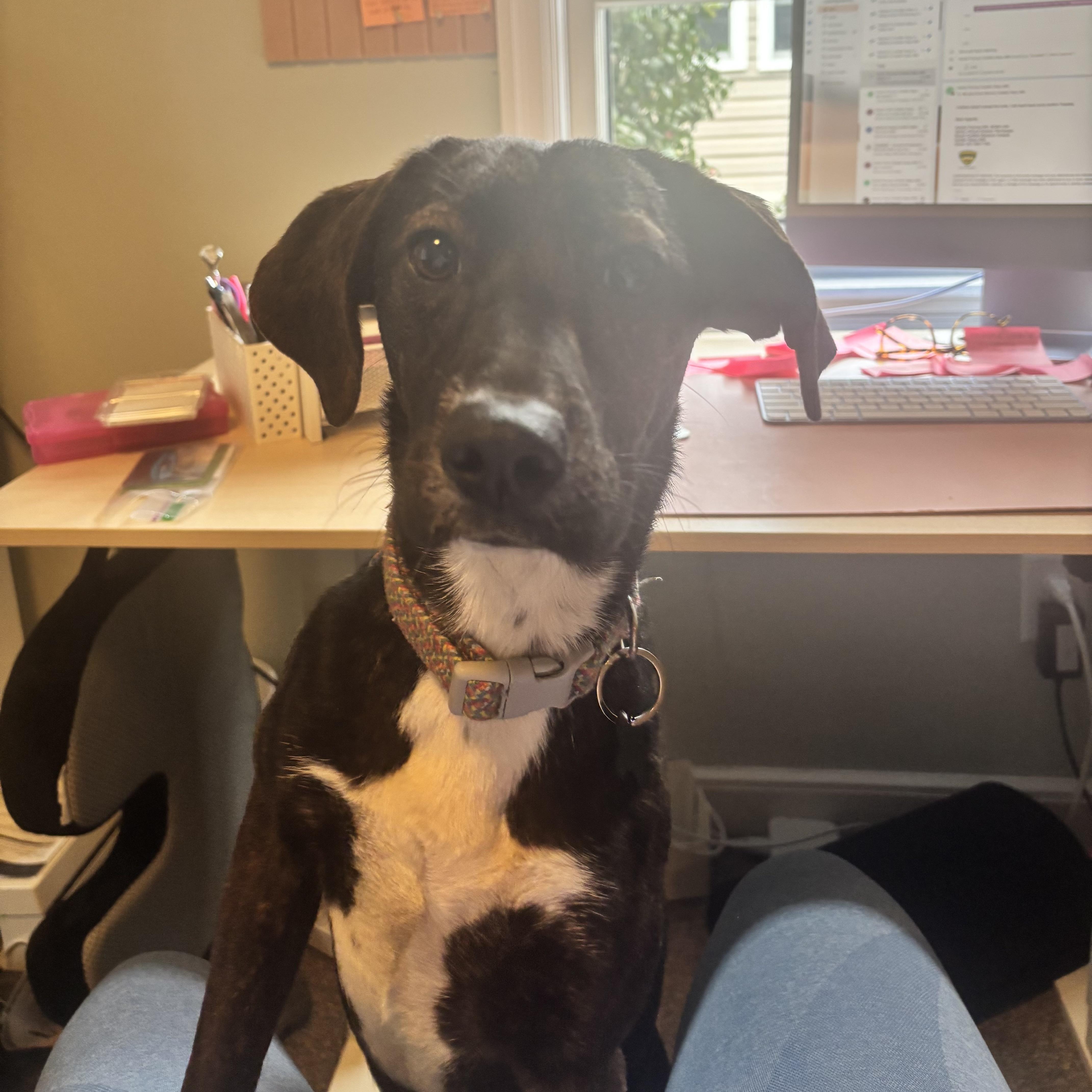 Sea Salt — thumbnail 4