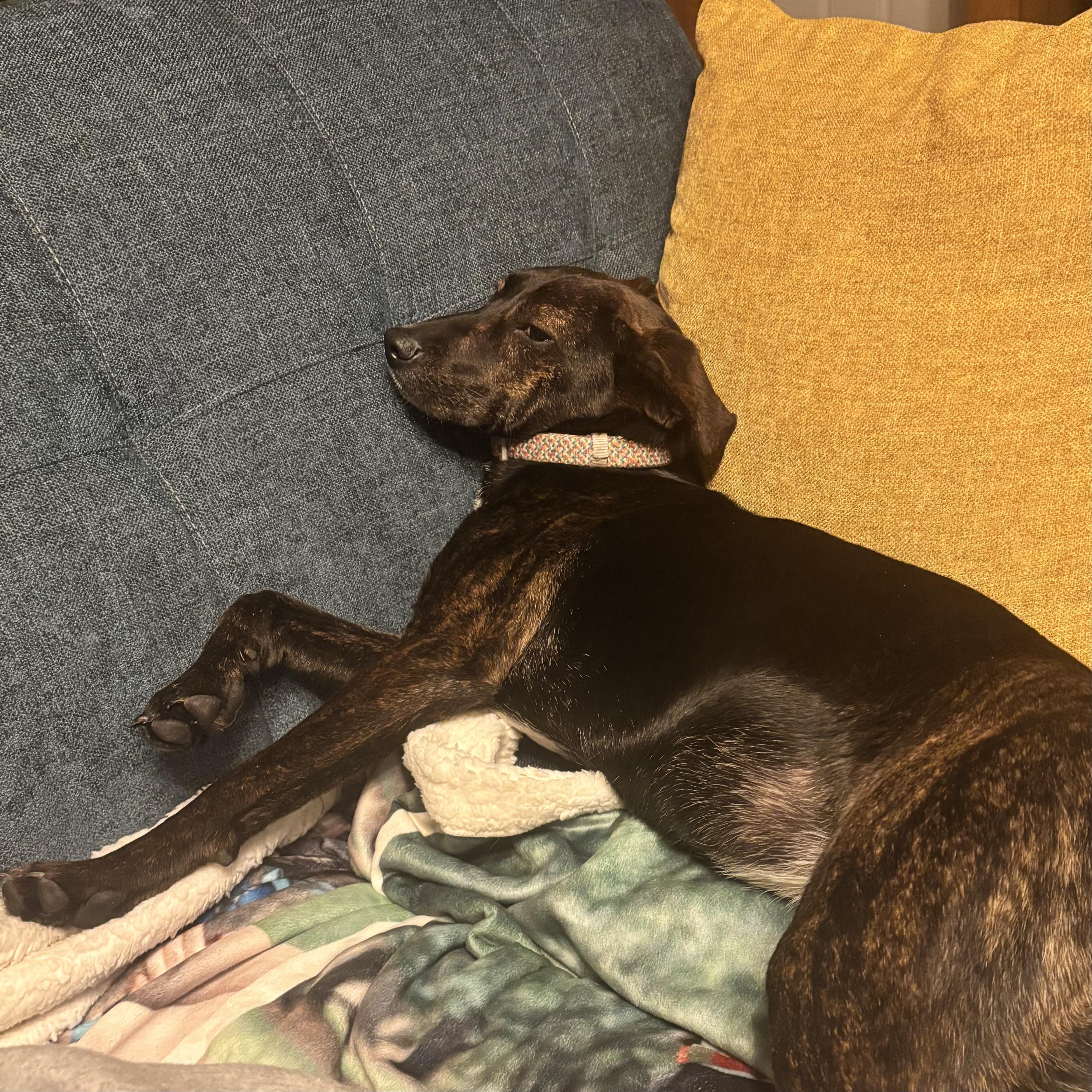 Sea Salt — thumbnail 6