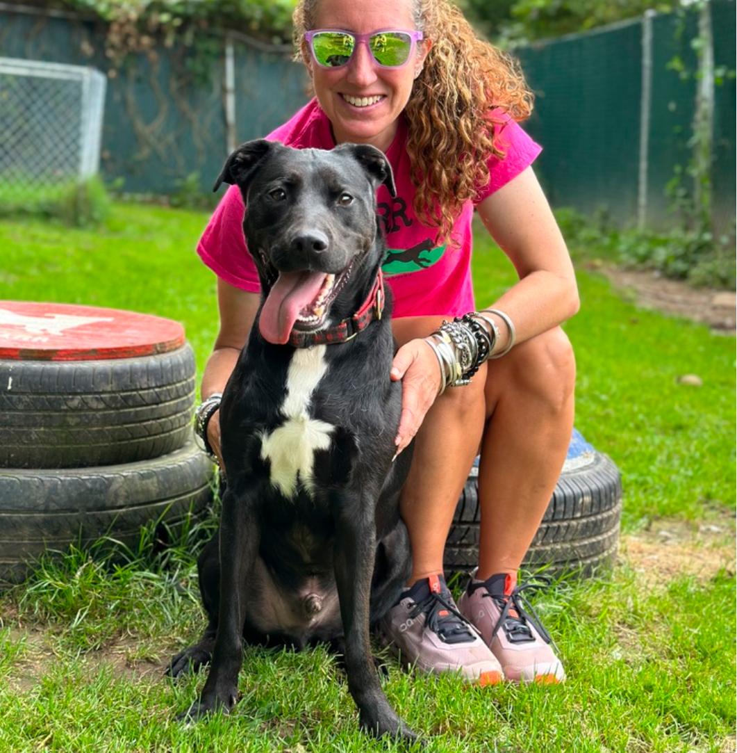 Enlarge Alphie: Adopt or Forever Foster, a Adoptable mixed breed in Rochester, NY image 5/6