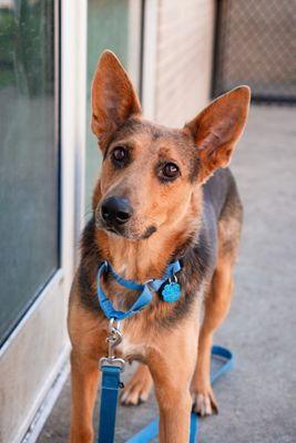 Dua Lipa thumbnail 2