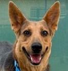 Dua Lipa thumbnail 3