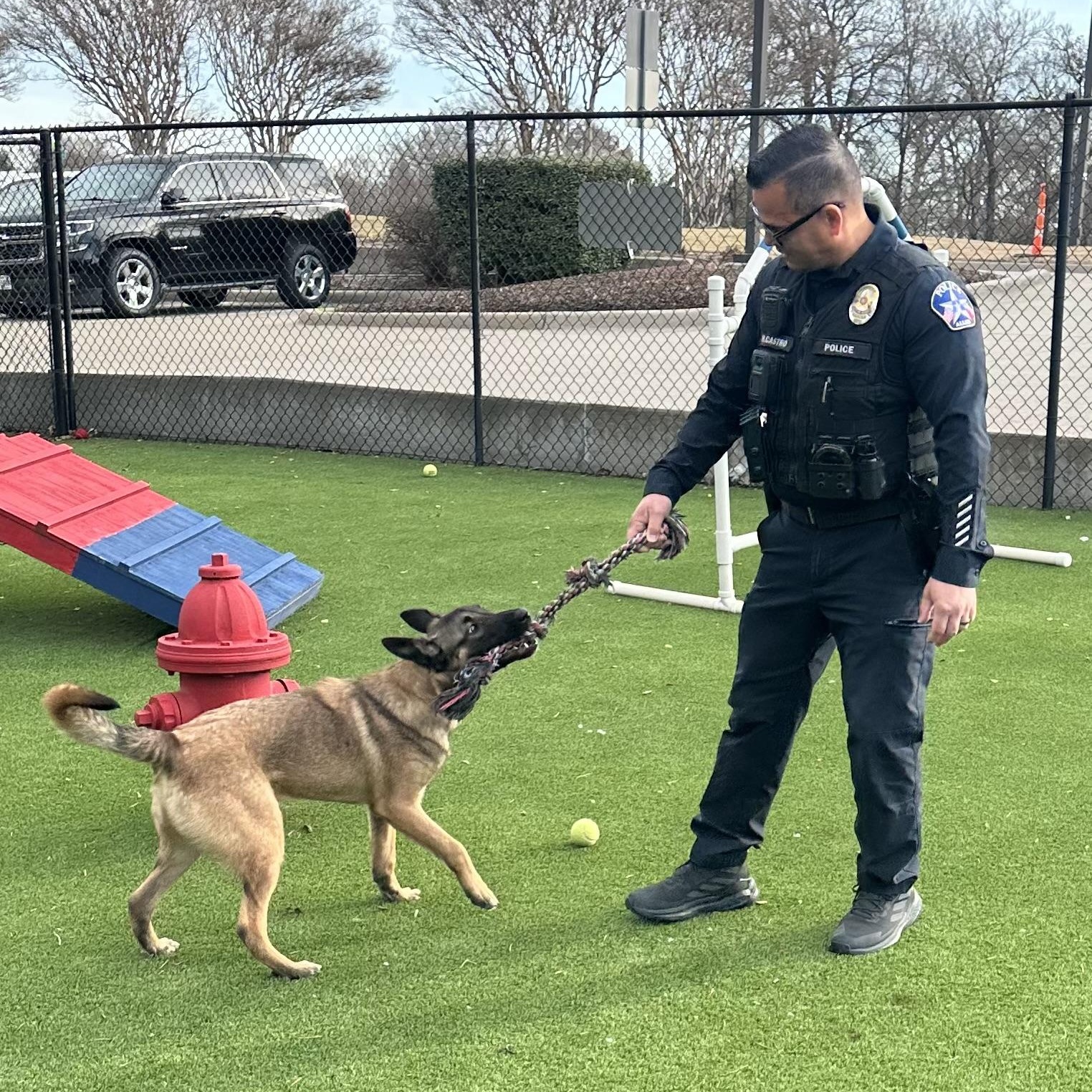 Enlarge King, an adoptable mixed breed in Allen, TX image 2/5