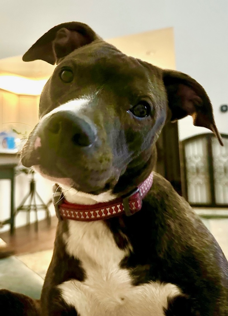 Ellie