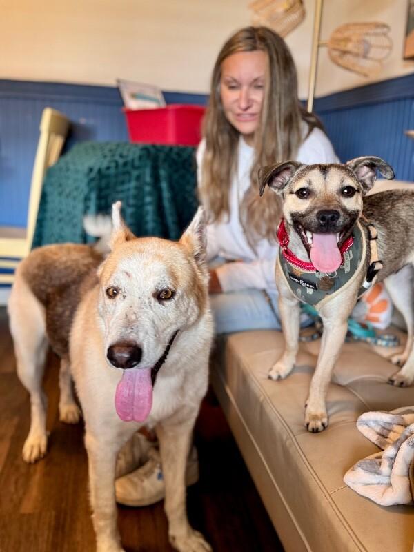 Cash Prize The Jackpot of Joy — thumbnail 4