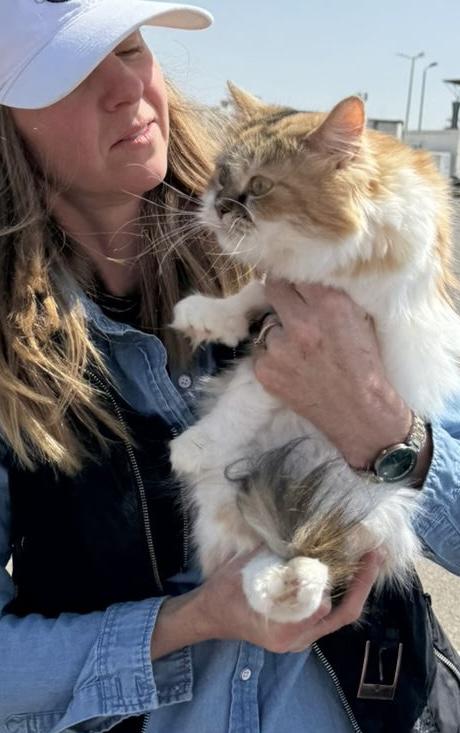 Enlarge Clover- Nioosha Mikaeeli, an adopted mixed breed in Brampton, ON image 2/6