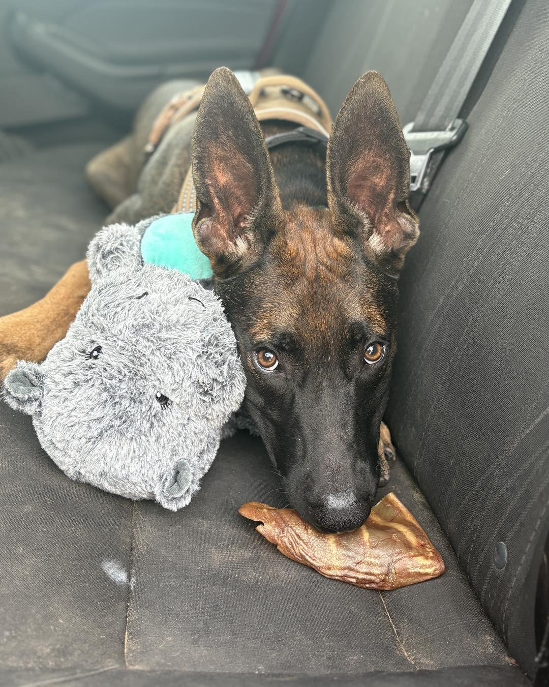Chico