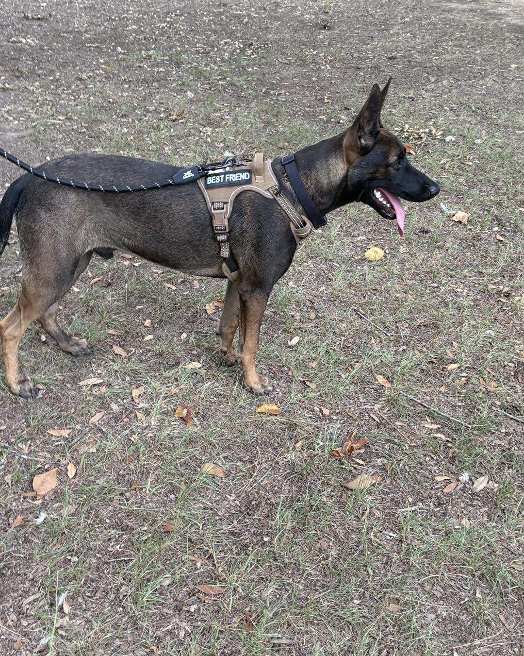 Chico
