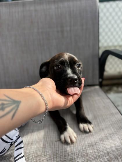 Waylon James — thumbnail 2