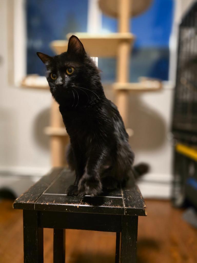 Lumi — thumbnail 3