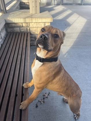 Rudy — thumbnail 2