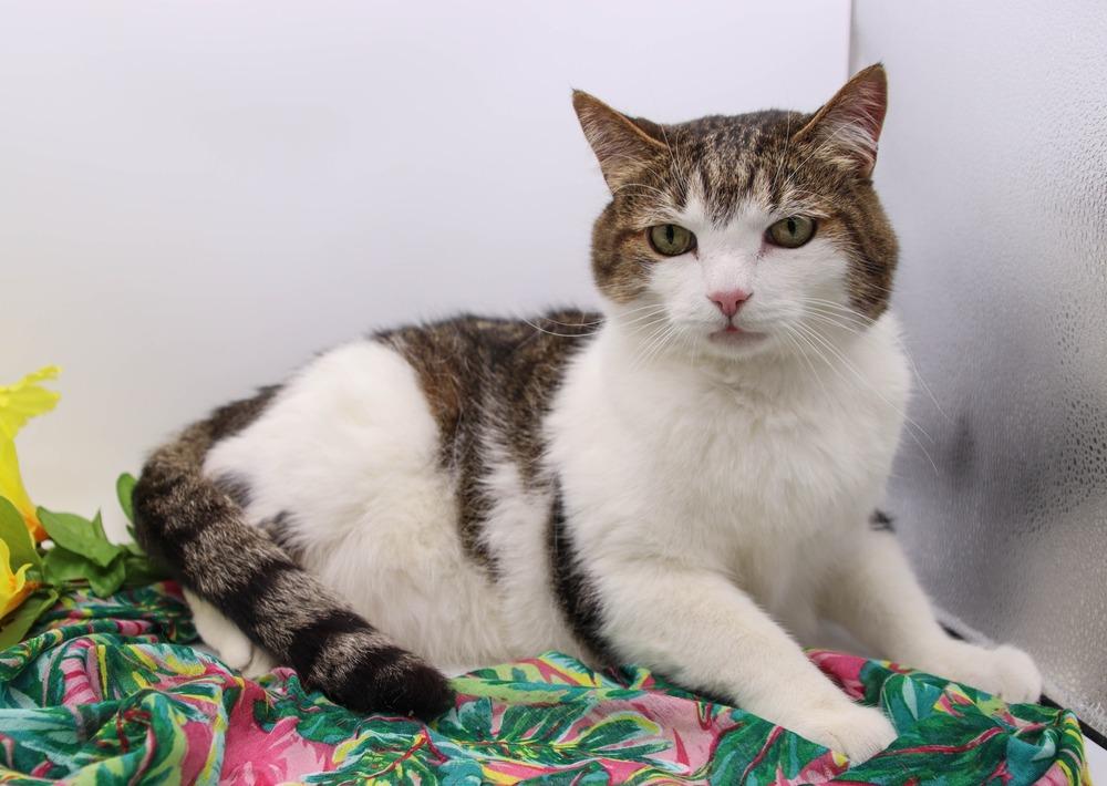 Sour Patch (Porridge)