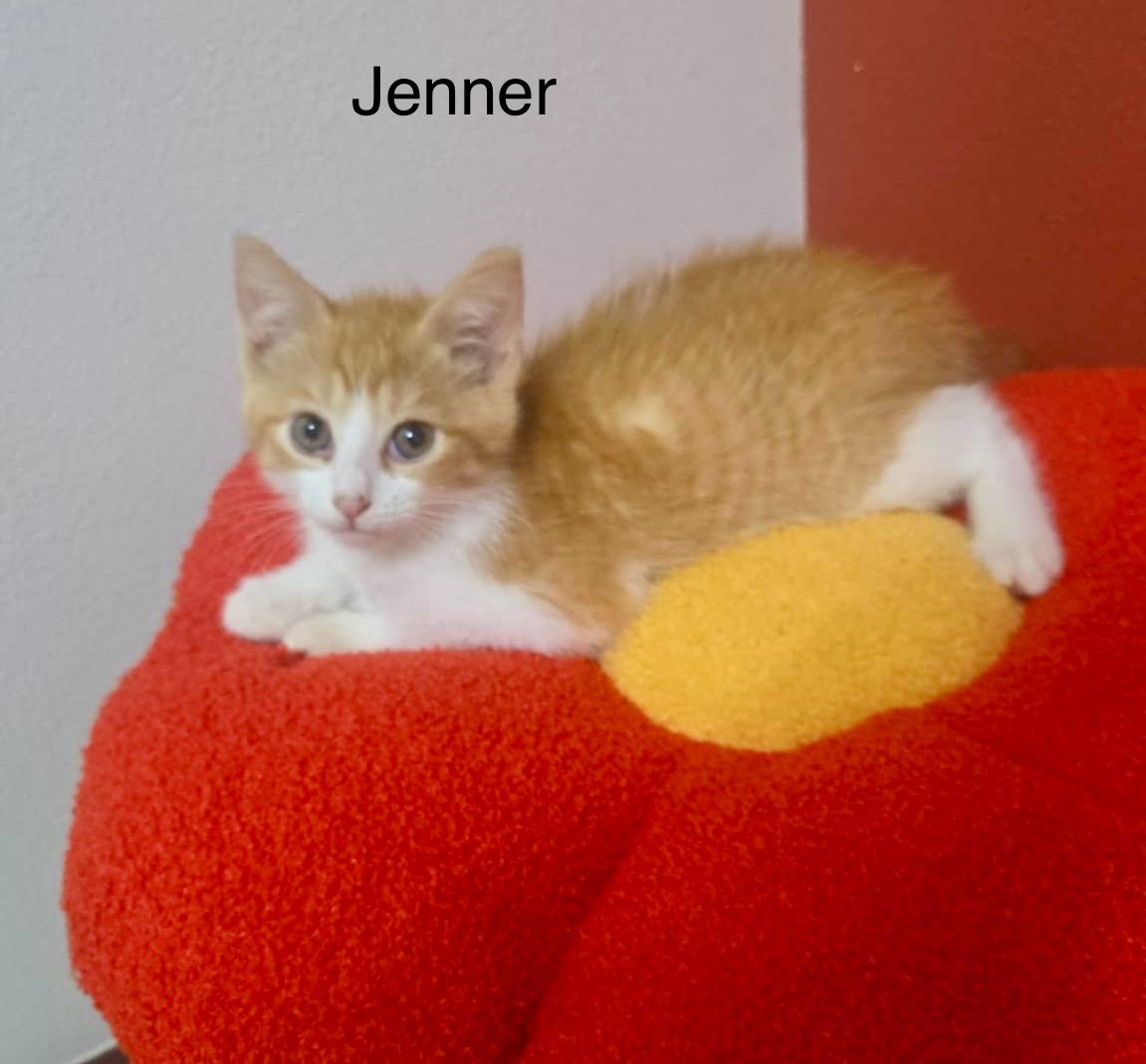 Jenner