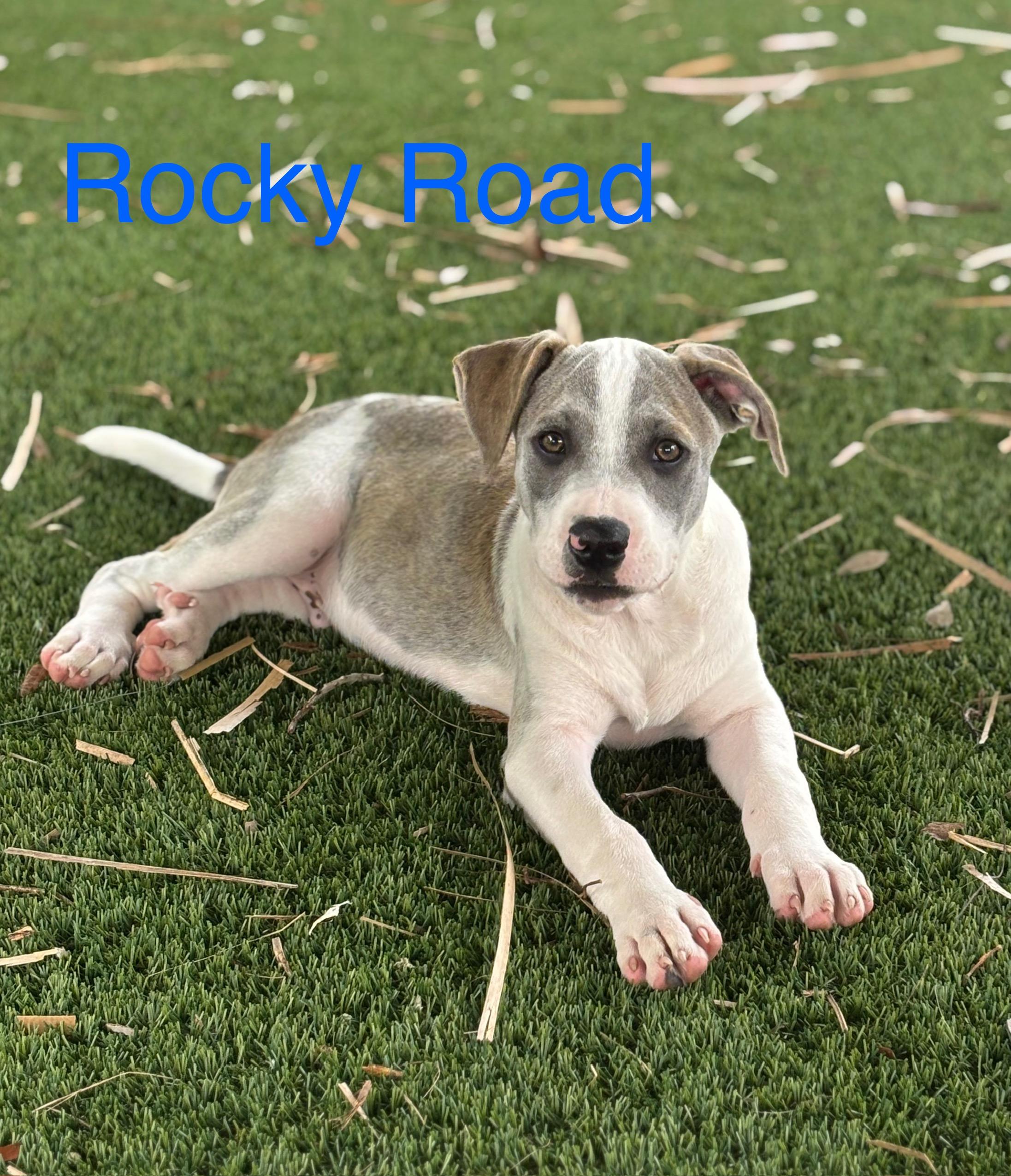 Rocky Road photo 5