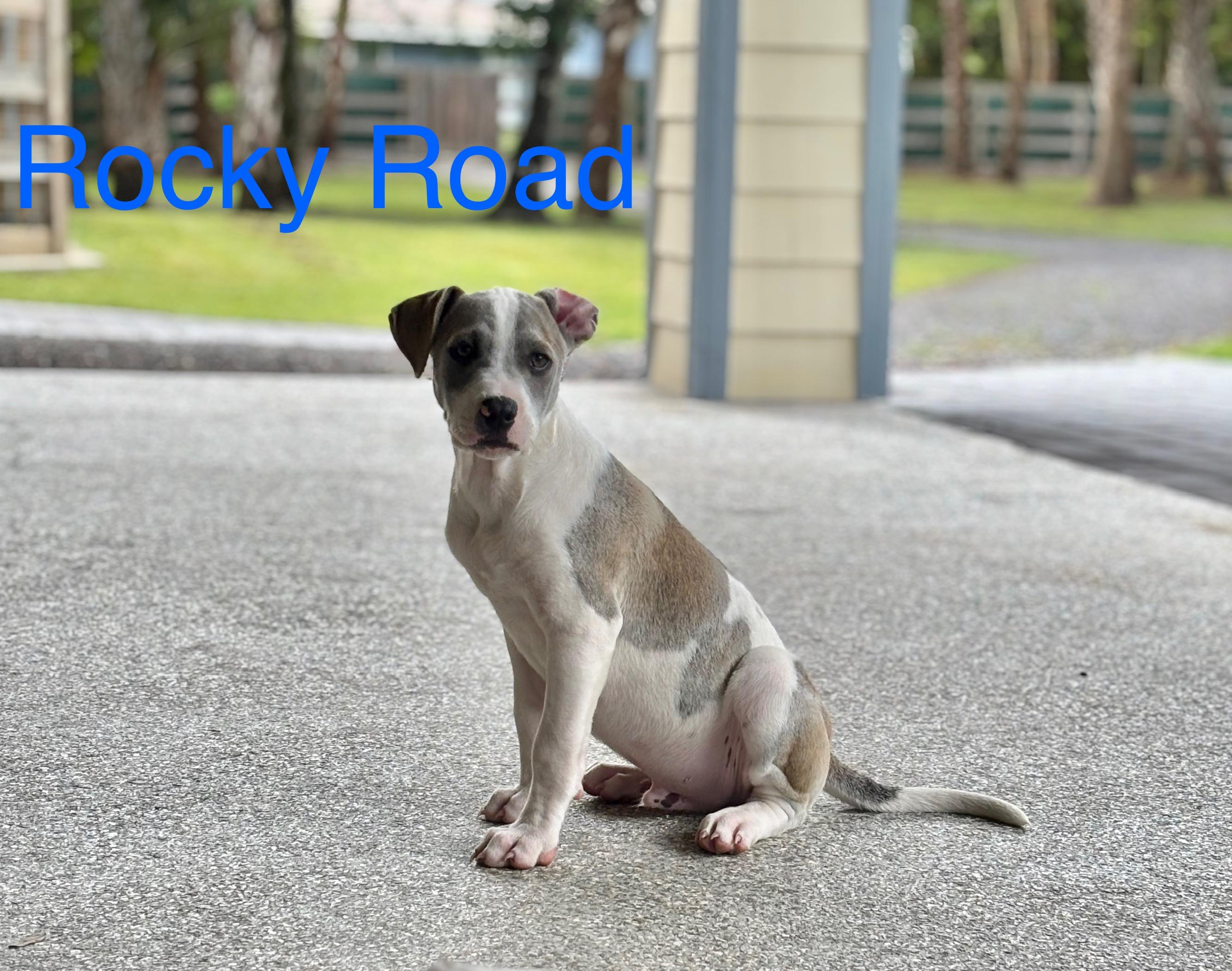 Rocky Road photo 2